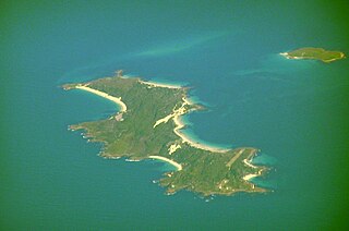 <span class="mw-page-title-main">Swan Island (Tasmania)</span> Island in Bass Strait, Tasmania