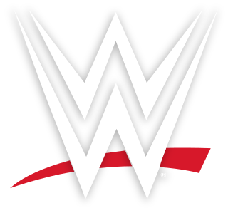 WWE Professional wrestling and entertainment company