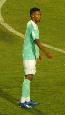 Wesley-palmeiras-wikipedia-jan2020.png