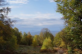 Le parc national naturel de Zatcharovany Krai.