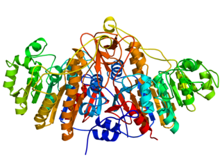 <span class="mw-page-title-main">Alkaline phosphatase</span> Homodimeric protein enzyme