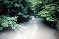 Épisode de pollution industrielle, blanchissant l'eau. La situation s'est améliorée avec la construction de deux stations d'épuration (1978, puis 1989).