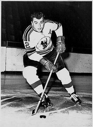 <span class="mw-page-title-main">Arlie Parker</span> American ice hockey player (born 1938)