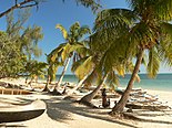 White sand beach lined with palm trees along a turquoise sea