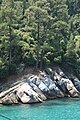 Forest, Thasos, Greece