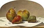 Three Pears and an Apple, 1857 - National Gallery of Art