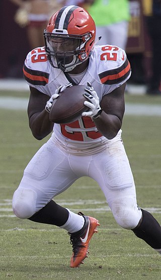 <span class="mw-page-title-main">Duke Johnson</span> American football player (born 1993)