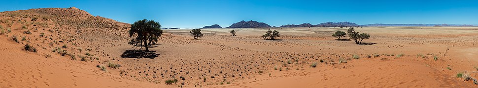 Duna Elim, Sossusvlei, Namibia, 2018-08-06, DD 165-162 PAN