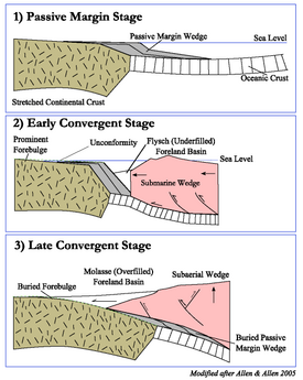 Generalized Foreland Basin System Evolution ForelandBasinEvolution.png