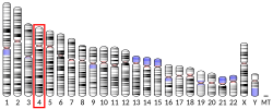 Thumbnail for Alpha-synuclein