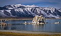 Lee Vining Peak (left) and Mount Warren (center) seen from Mono Lake.