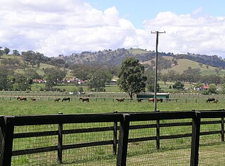 <span class="mw-page-title-main">Stud farm</span> Establishment for selective breeding of livestock