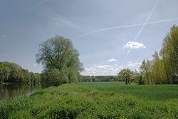 Skyline of Krauschwitz