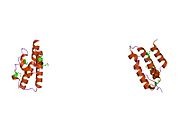 PDB 1nz6 EBI.jpg