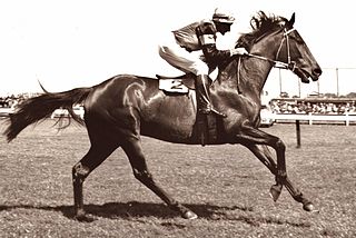 <span class="mw-page-title-main">Caulfield Cup</span> Horse race held in Melbourne, Victoria, Australia