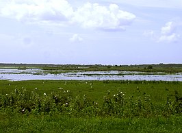 St. Johns River