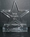 Premiul «Звезда Интернета» (Steaua/Starul Internetului)