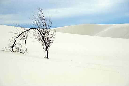 White Sands, New Mexico