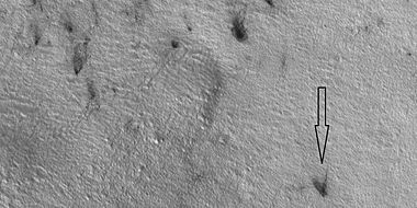 Plumes, as seen by HiRISE under HiWish program. Arrow shows a double plume. This may have been because of shifting winds.