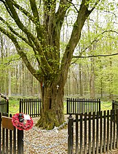 Le Dernier Arbre, Mémorial national sud-africain du bois Delville à Longueval.