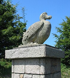 El dodo és el símbol de Durrell Wildlife Park (més conegut com Zoo de Jersey). A les portes del zoo hi ha estàtues de dodos