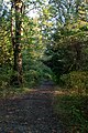 * Kandidimi: Doreen Johnson Conservation Area within the Green River Natural Area in King County, Washington. --Roc0ast3r 00:49, 19 September 2024 (UTC) * * Kërkohet vlerësim