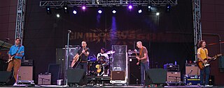 <span class="mw-page-title-main">Gin Blossoms</span> American alternative rock band