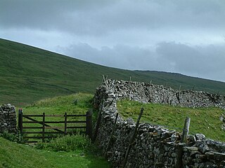 <span class="mw-page-title-main">Great Whernside</span> Mountain in the Yorkshire Dales, England