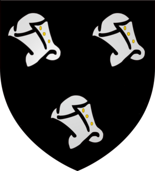 <span class="mw-page-title-main">O'Kennedy</span> Irish royal dynasty of the Middle Ages