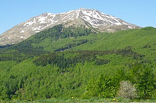 <span class="mw-page-title-main">Apennine deciduous montane forests</span> Ecoregion in Italy