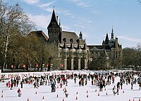 Schaatsen op het meer in het Stadspark, op de achtergrond de Vajdahunyadburcht