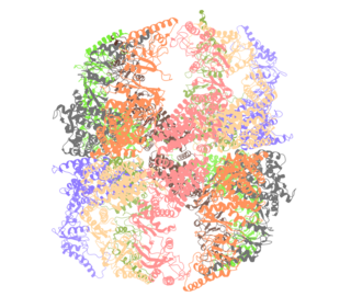 <span class="mw-page-title-main">TRiC (complex)</span> Multiprotein complex used in cellular proteostasis