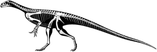 <i>Thecodontosaurus</i> Extinct genus of dinosaurs