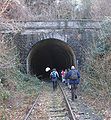 Tunnel van Purnode