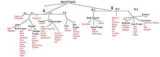 <span class="mw-page-title-main">Hausa–Gwandara languages</span> Chadic language branch of West Africa