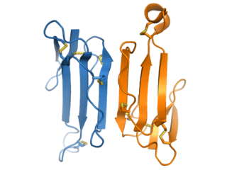 κ-Bungarotoxin Protein neurotoxin of the bungarotoxin family