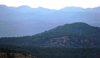 <span class="mw-page-title-main">Arizona Mountains forests</span> Temperate coniferous forests ecoregion of the United States