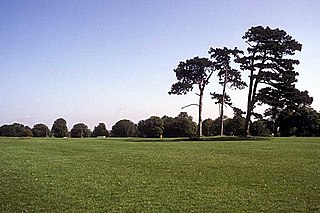 <span class="mw-page-title-main">Durdham Down</span> Area of open space in Bristol, England