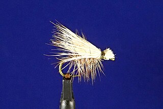 Elk Hair Caddis