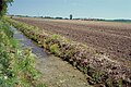 Fotografia d'aigas eutrofizadas per d'engrais agricòlas