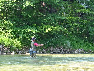 Fly fishing Method of angling