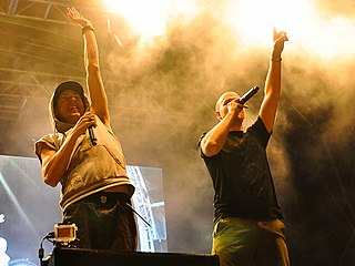 <span class="mw-page-title-main">Hilltop Hoods</span> Australian hip-hop group