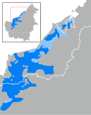 <span class="mw-page-title-main">Iban language</span> Austronesian language spoken in Brunei, Kalimantan, Sarawak