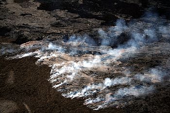 Lava wildfire