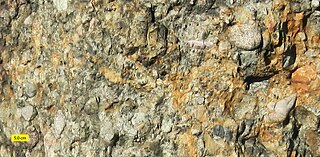 <span class="mw-page-title-main">Roxbury Conglomerate</span>