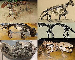 <span class="mw-page-title-main">Therapsid</span> Clade of tetrapods including mammals