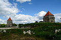 Skalat castle