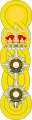 1881 to 1902 colonel's shoulder rank insignia