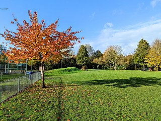 <span class="mw-page-title-main">Colden Common</span> Human settlement in England