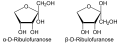 de: Die Stereoisomere der D-Ribulose in Haworth-Schreibweise; en: stereoisomers of D-ribulose in Haworth projection